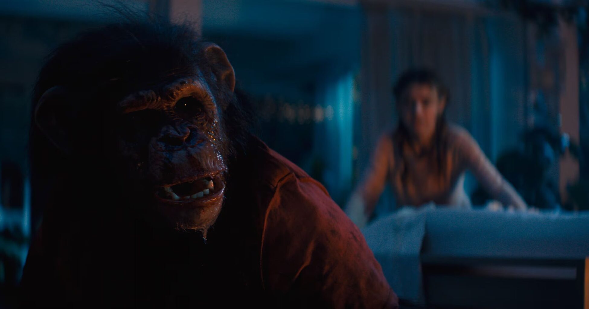 Primate Review